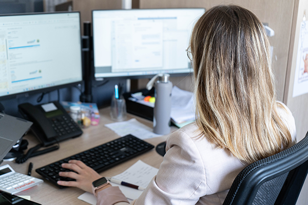 Développement et délégation d'expertises